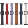 Apple Leather Modern Buckle Watch Strap | 38mm 40mm 41mm